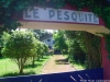 Le Pesquité